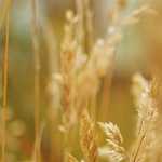 190513今日の取引