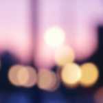 191115今日の取引