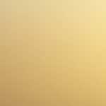 200109今日の取引