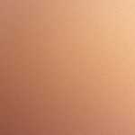 200219今日の取引